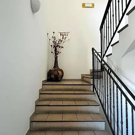 Softwood 2* רקאנטי