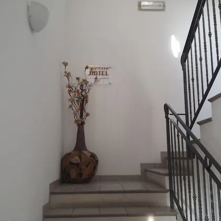 Softwood Recanati